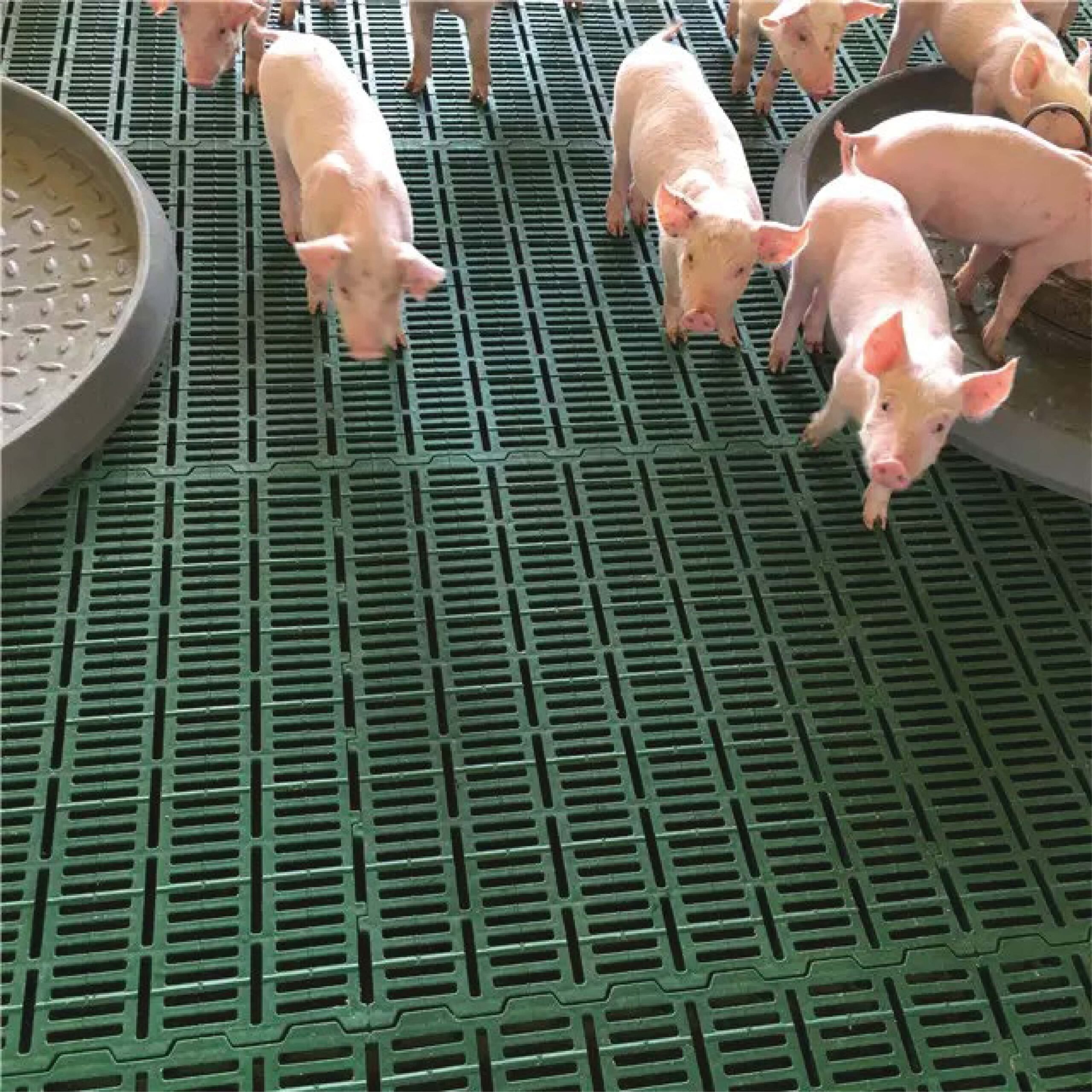 Pig Mats